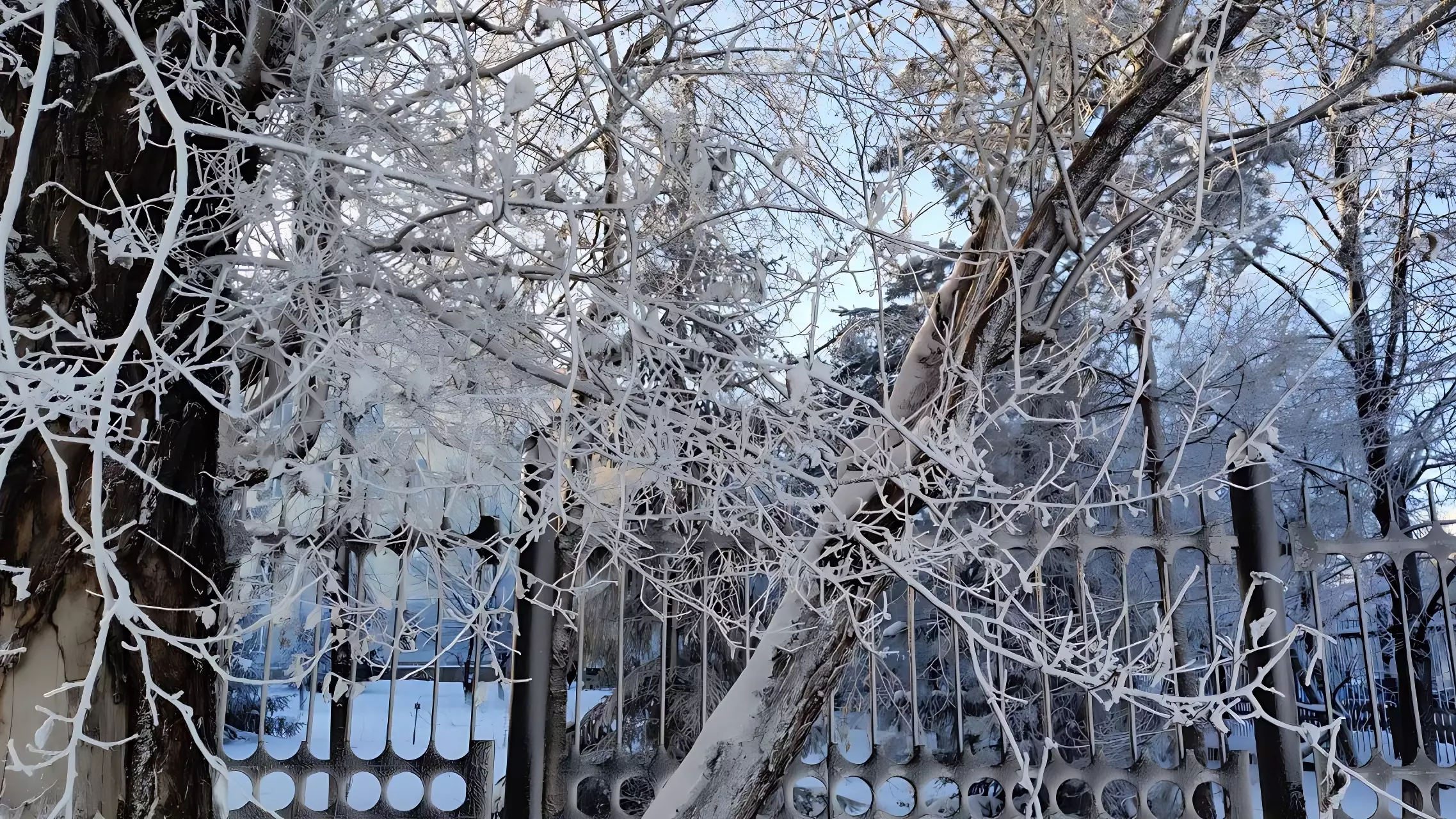 Морозы ударили со страшной силой по Челябинской области