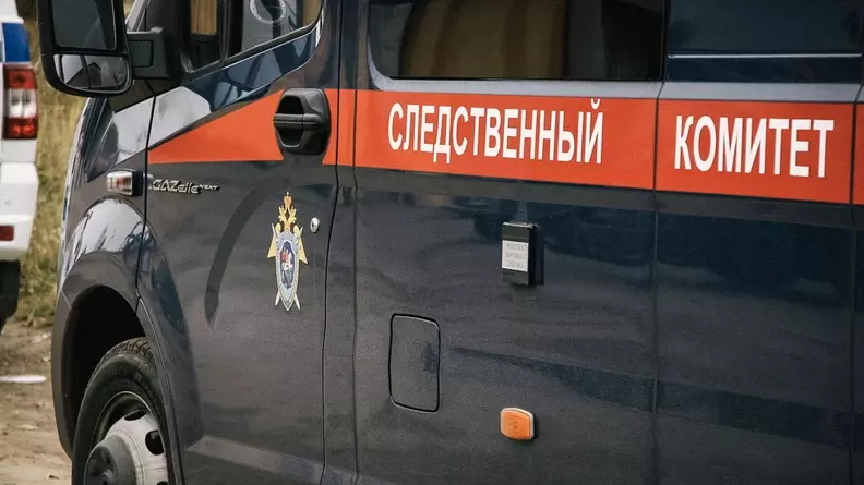 Глава СК РФ Бастрыкин взял на контроль дело о смертельной драке стражей порядка