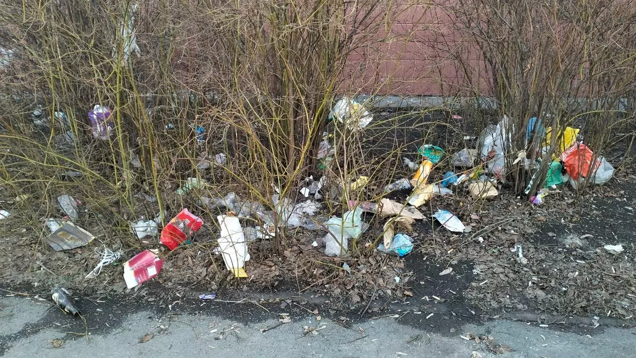 Много мусора рядом с пешеходной дорожкой