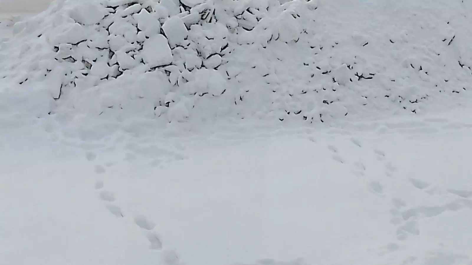 Снегом завалили могилы бойца СВО и его отца в Кунашаке